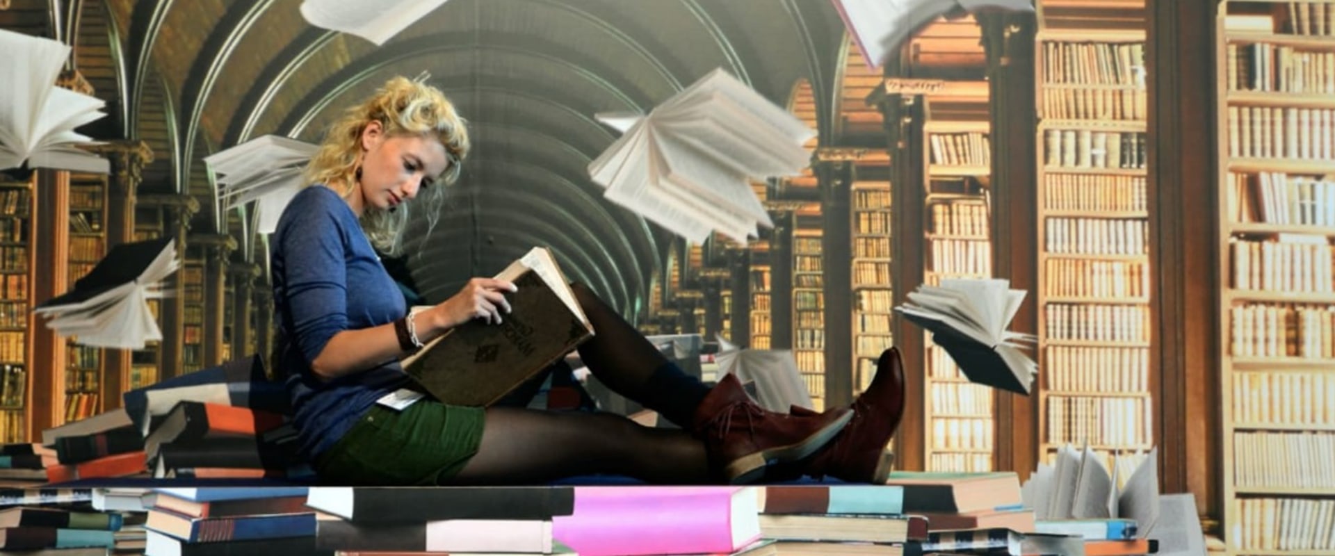 The Fascinating World of Bookstores in Northern Virginia