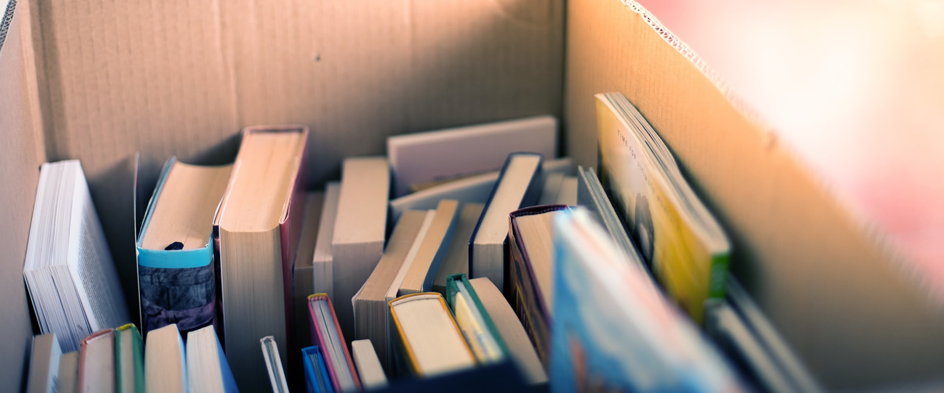 Discovering the Hidden Gems of Bookstores in Northern Virginia